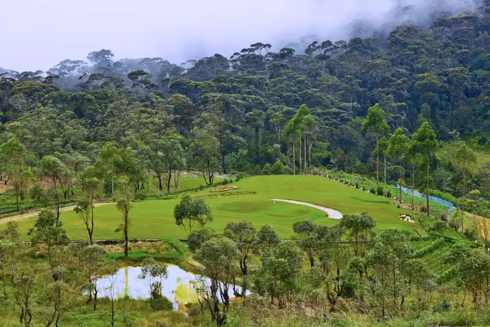 Sri Lankan property and landscape